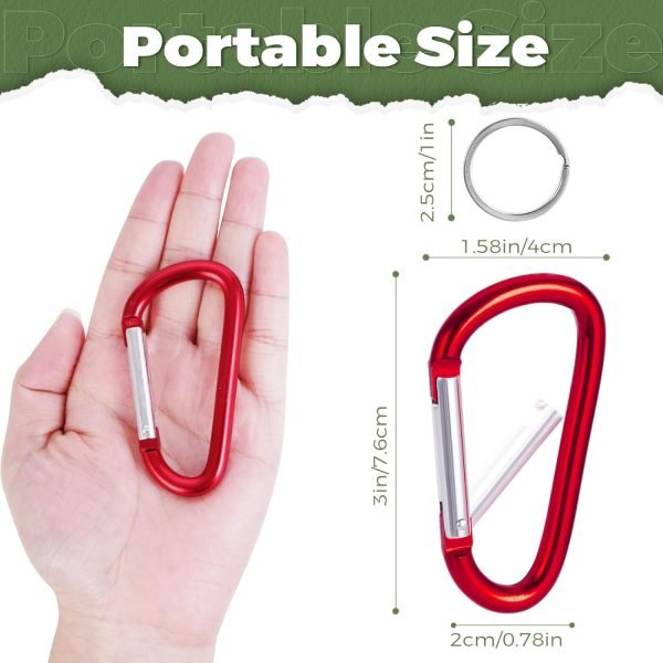 20 Pack 3" Aluminum Carabiner Clip, Large D Ring Carabiners Keychain Clip Spring Snap Hooks, Carabiner for Keys, Dog Leash, Outdoor Camping Hiking Accessories