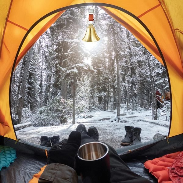 3/6 Pack Loud Bear Bell with Whistle Set for Hikers, 2 Inch 3 in 1 Hiking Gear Bear Bells with Emergency Whistle and Carabiner Clip for Home Decor, Survival, Biking, Climbing