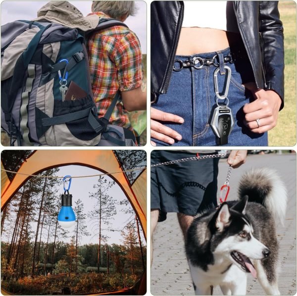 20 Pack 3" Aluminum Carabiner Clip, Large D Ring Carabiners Keychain Clip Spring Snap Hooks, Carabiner for Keys, Dog Leash, Outdoor Camping Hiking Accessories